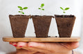 Lorem ipsum dolor sit consectetur adipiscing elit,