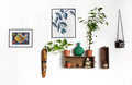 Lorem ipsum dolor sit consectetur adipiscing elit,