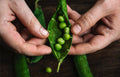 Lorem ipsum dolor sit consectetur adipiscing elit.