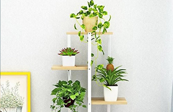 Lorem ipsum dolor sit consectetur adipiscing elit,