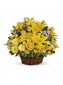 Yellow Roses